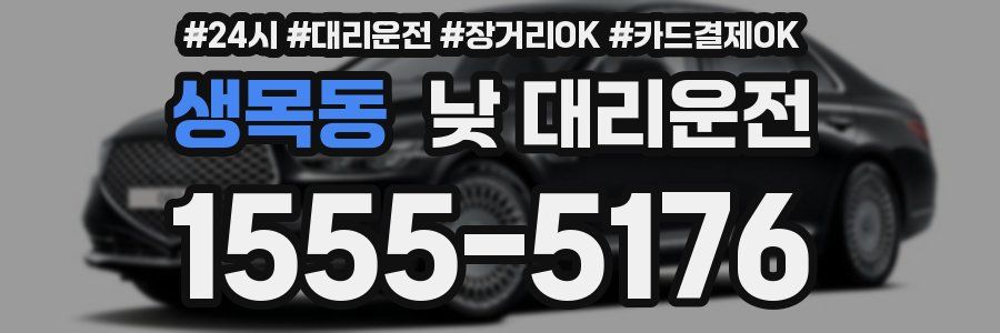 생목동 낮 대리운전