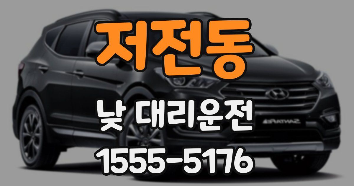 저전동 낮 대리운전