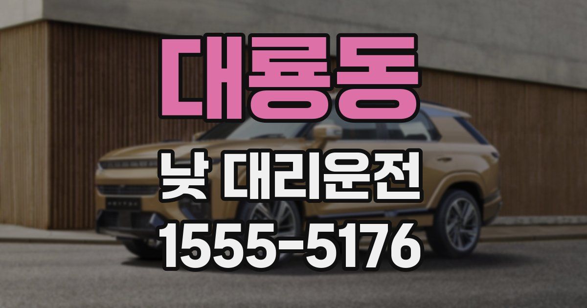 대룡동 낮 대리운전