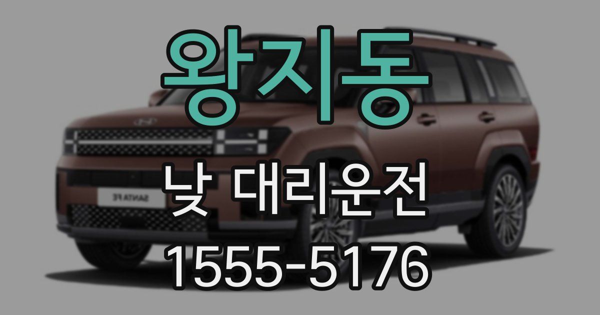 왕지동 낮 대리운전