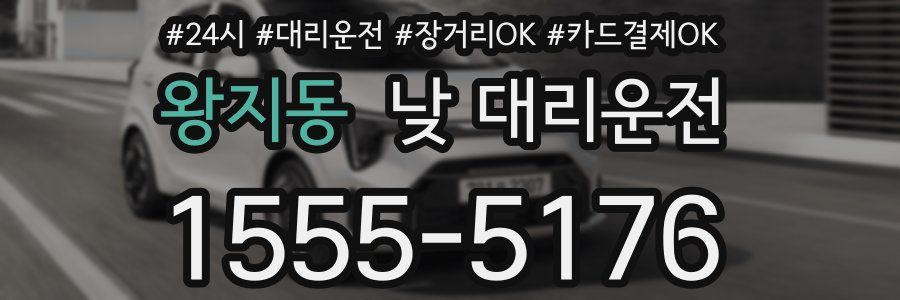 왕지동 낮 대리운전