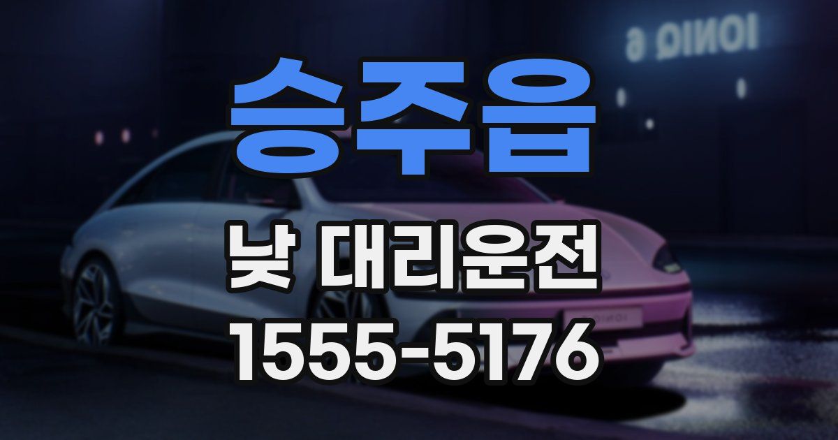승주읍 낮 대리운전