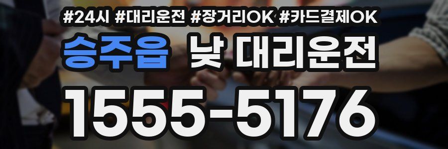 승주읍 낮 대리운전
