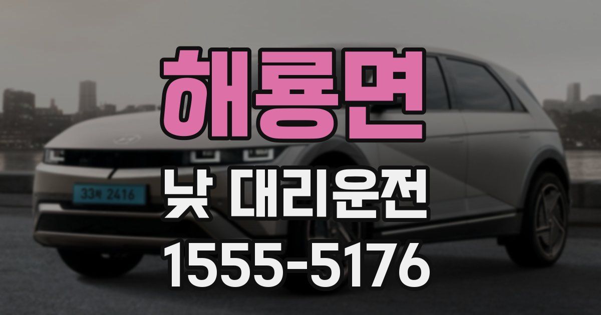 해룡면 낮 대리운전