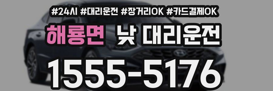 해룡면 낮 대리운전