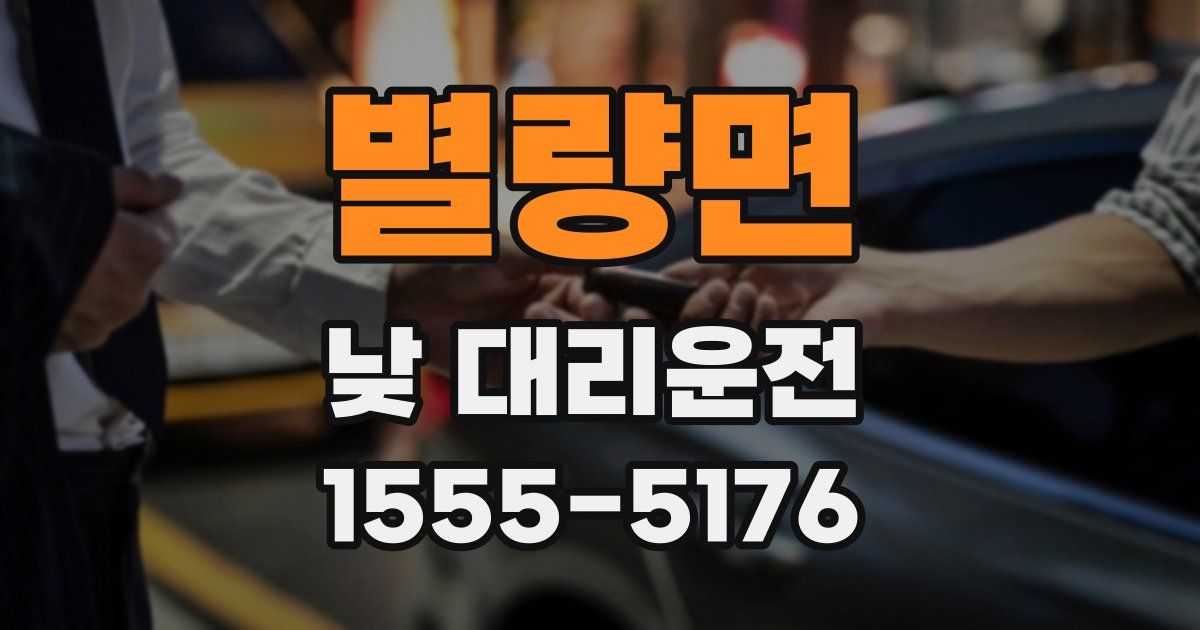 별량면 낮 대리운전