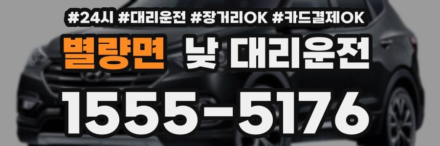 별량면 낮 대리운전