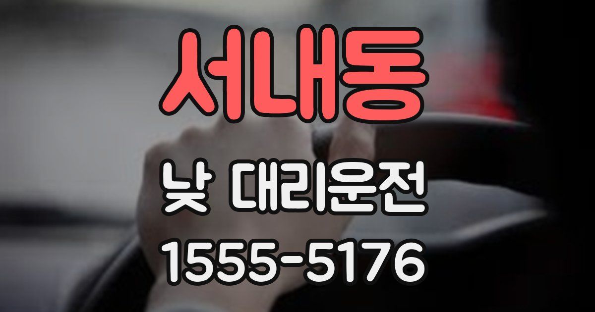 서내동 낮 대리운전