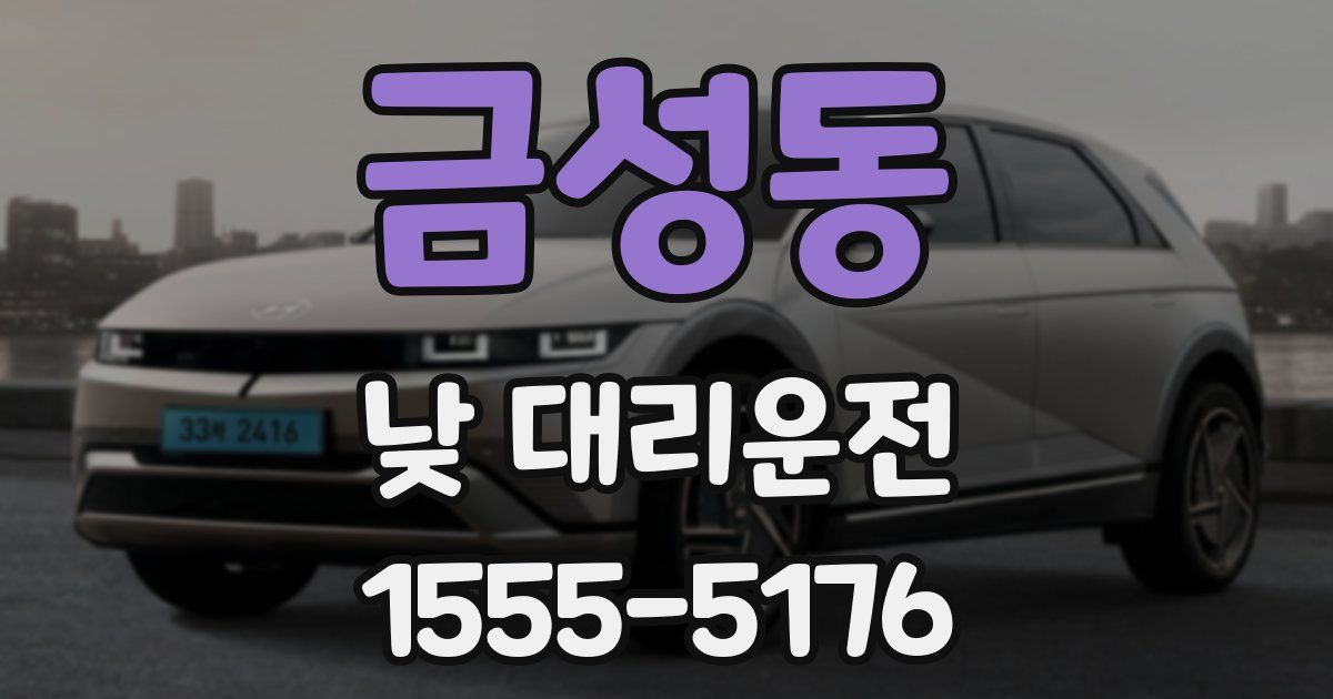 금성동 낮 대리운전