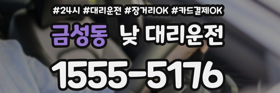 금성동 낮 대리운전