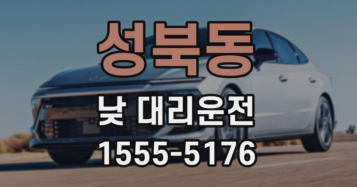 성북동 낮 대리운전