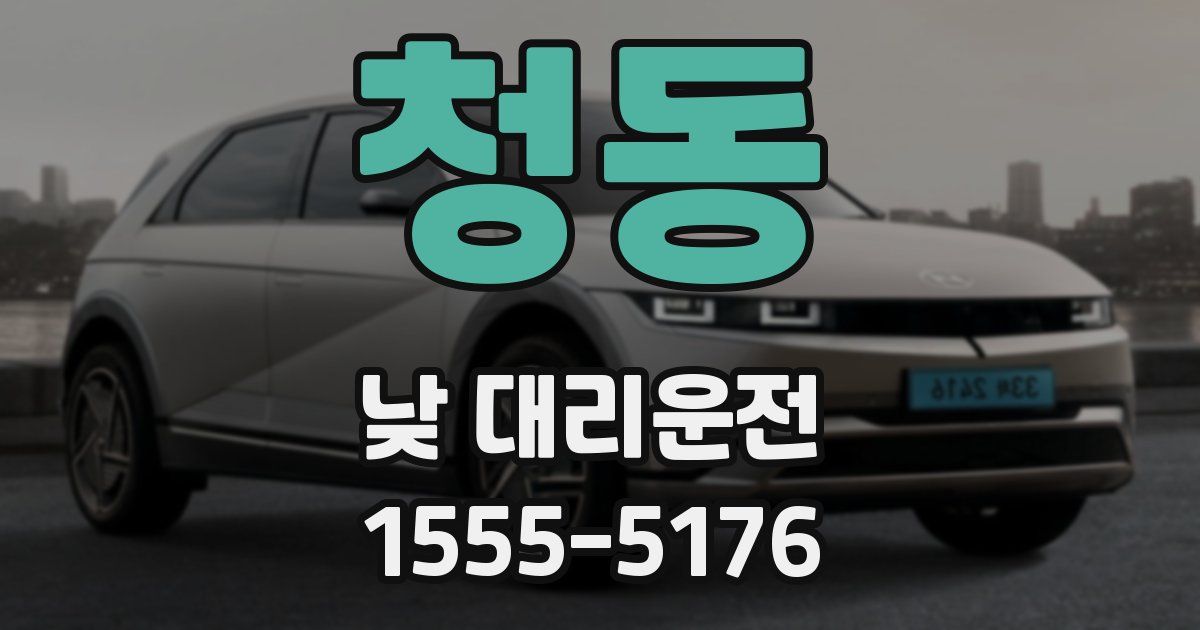 청동 낮 대리운전