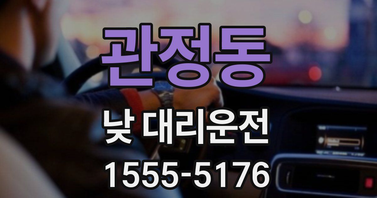 관정동 낮 대리운전
