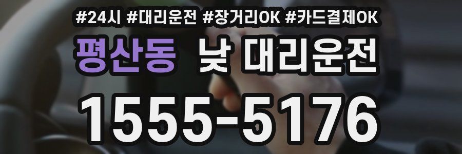 평산동 낮 대리운전