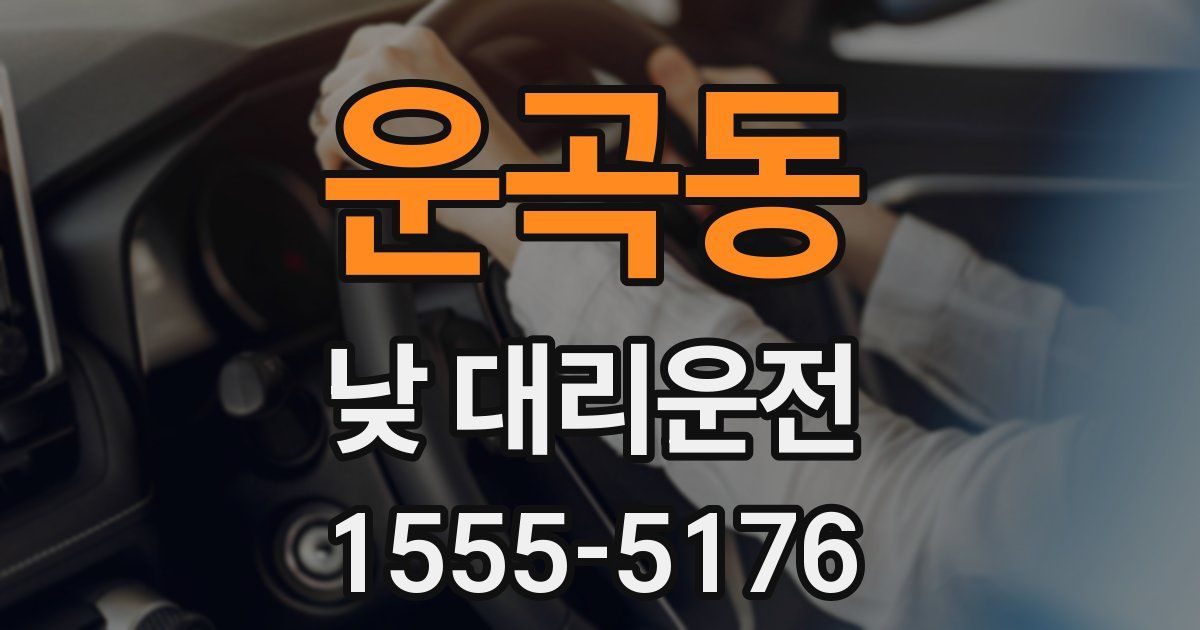 운곡동 낮 대리운전