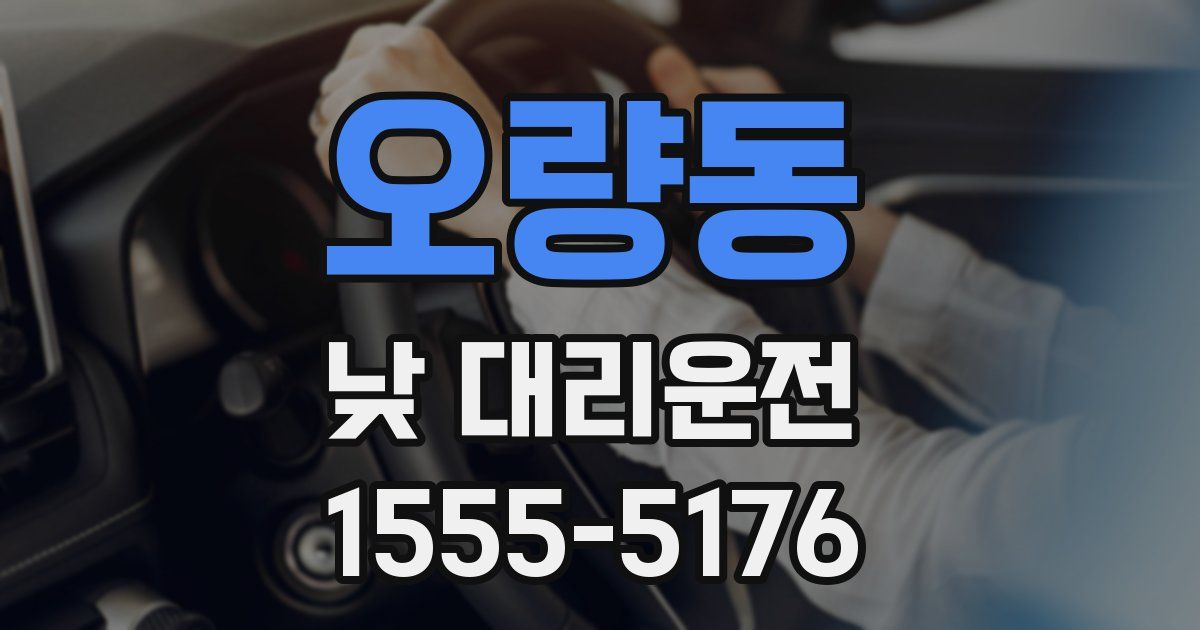오량동 낮 대리운전