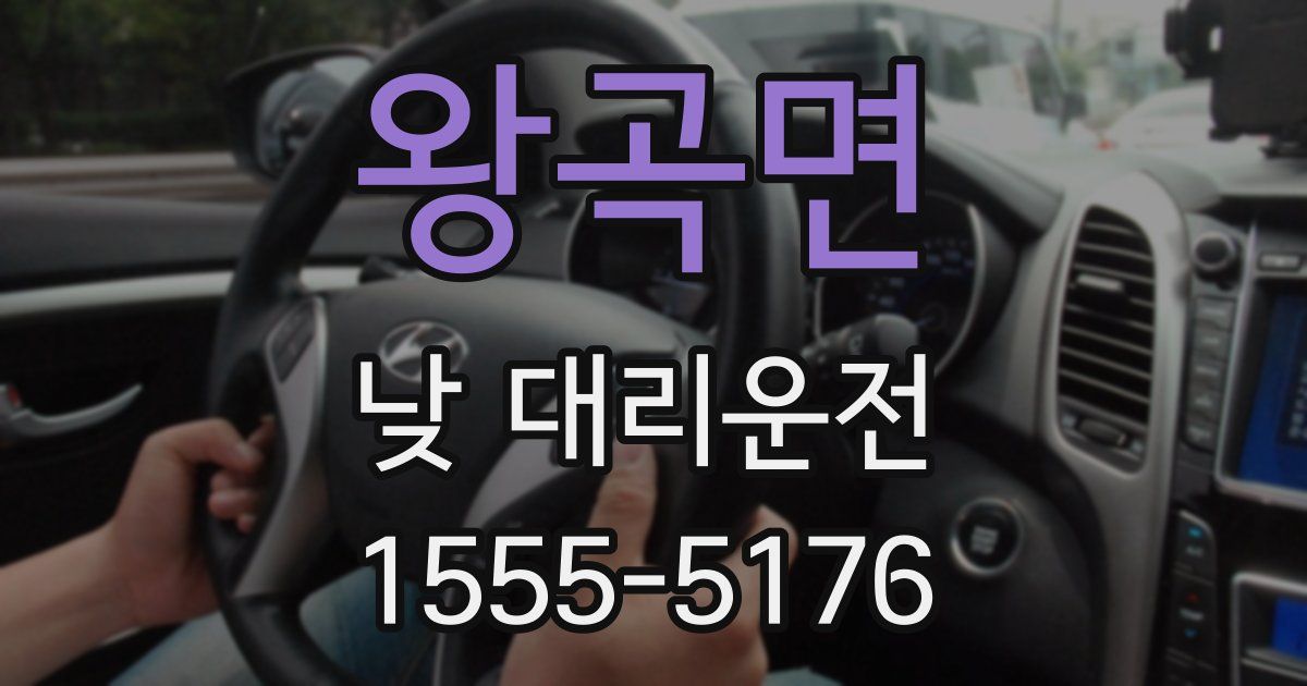 왕곡면 낮 대리운전