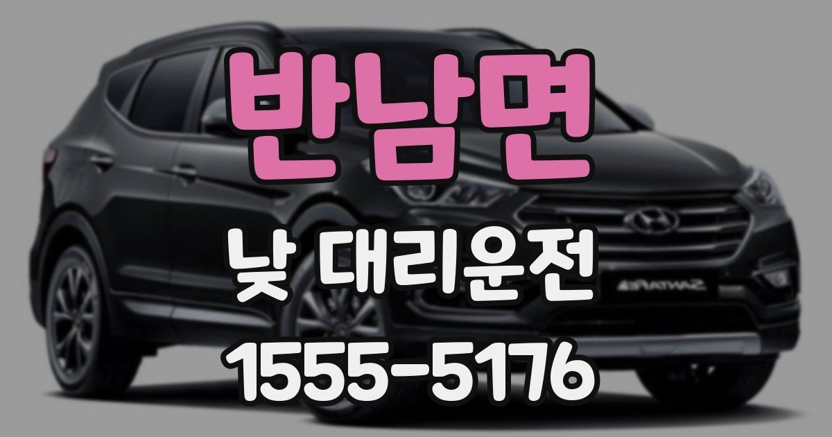 반남면 낮 대리운전