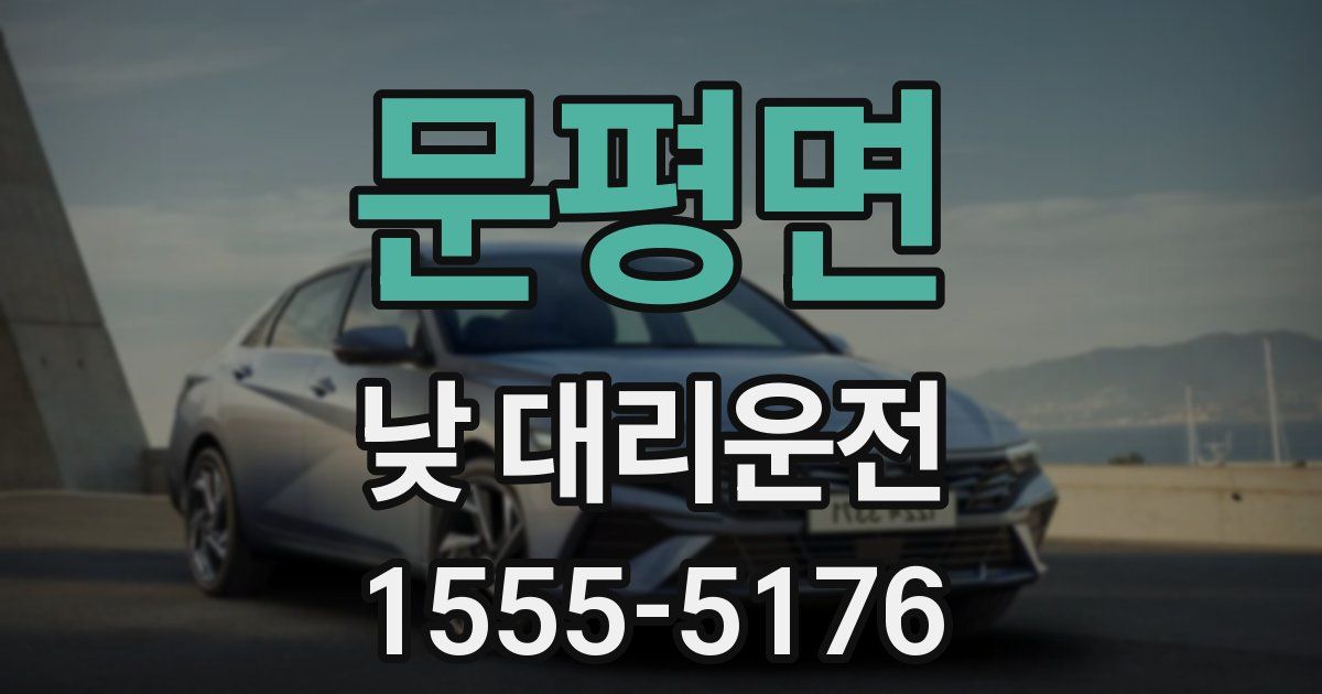 문평면 낮 대리운전