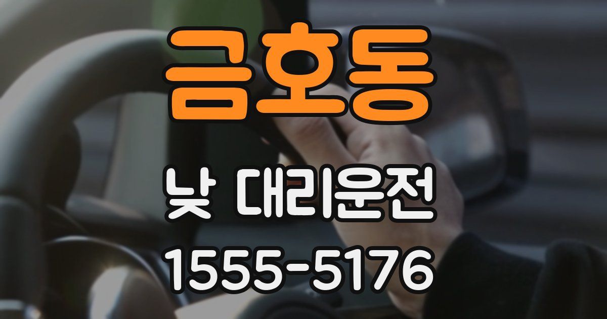 금호동 낮 대리운전