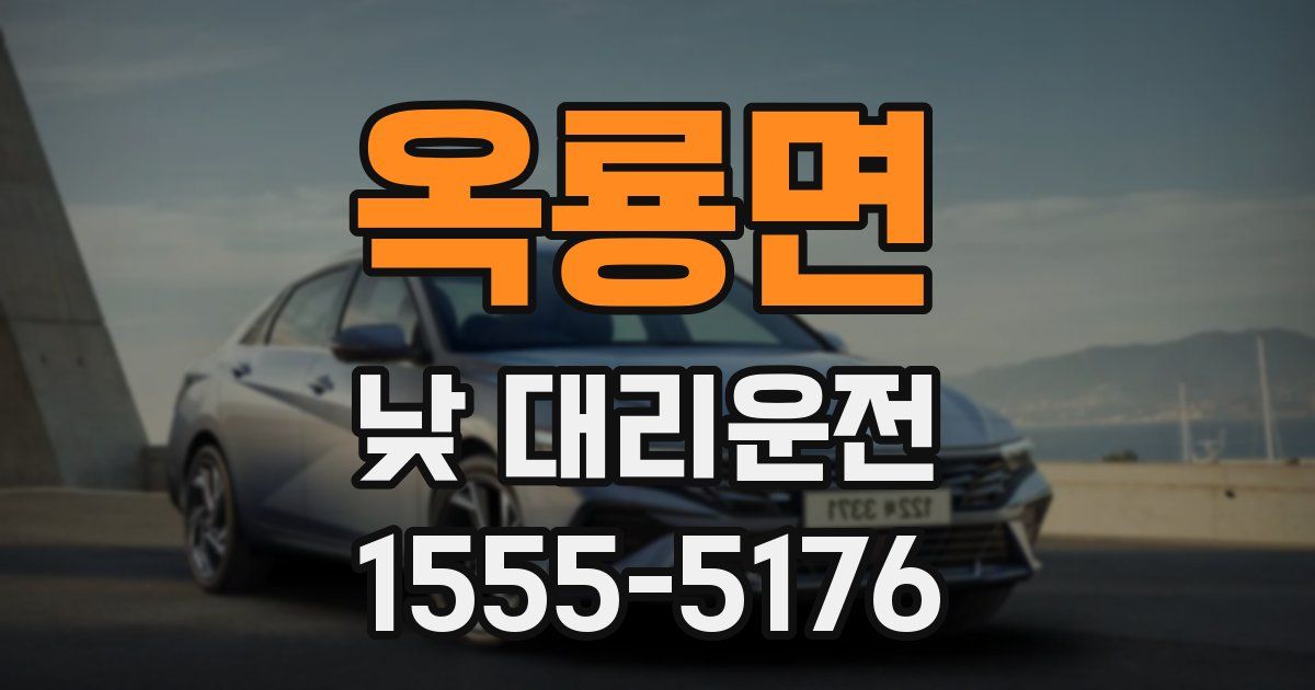 옥룡면 낮 대리운전