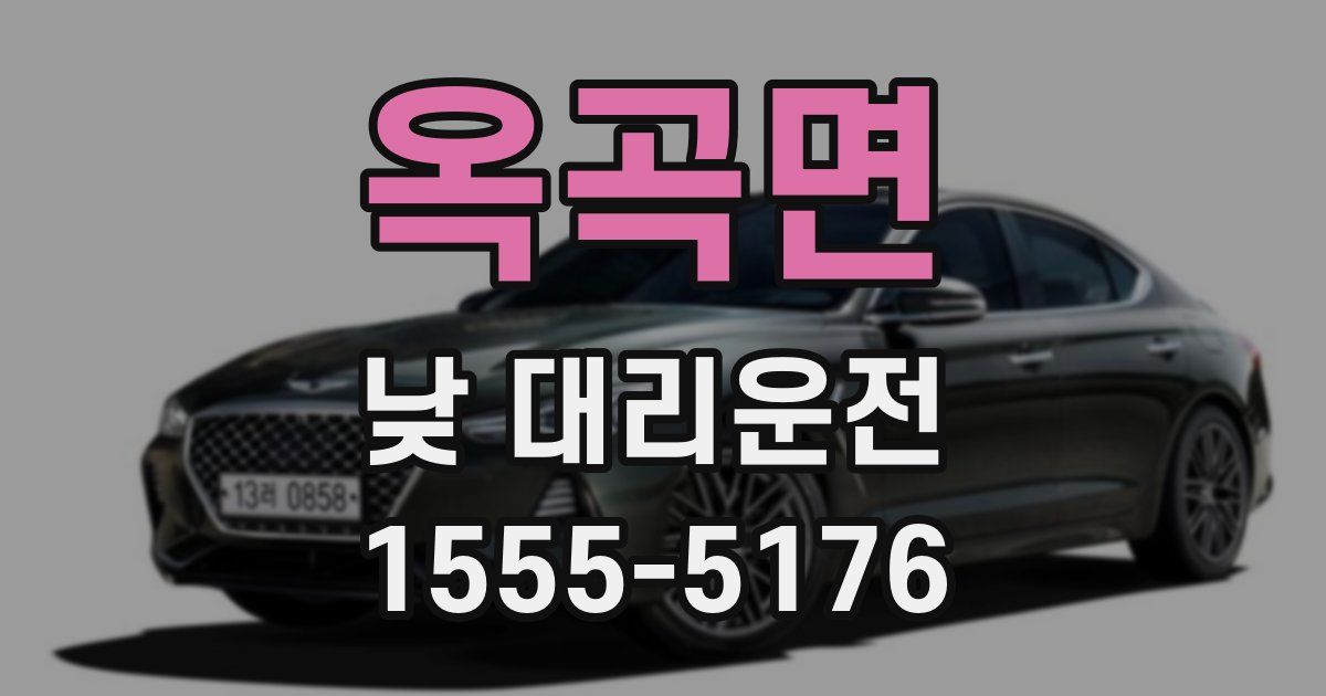 옥곡면 낮 대리운전