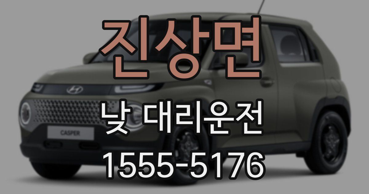 진상면 낮 대리운전