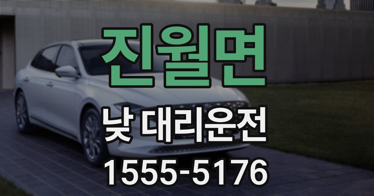 진월면 낮 대리운전
