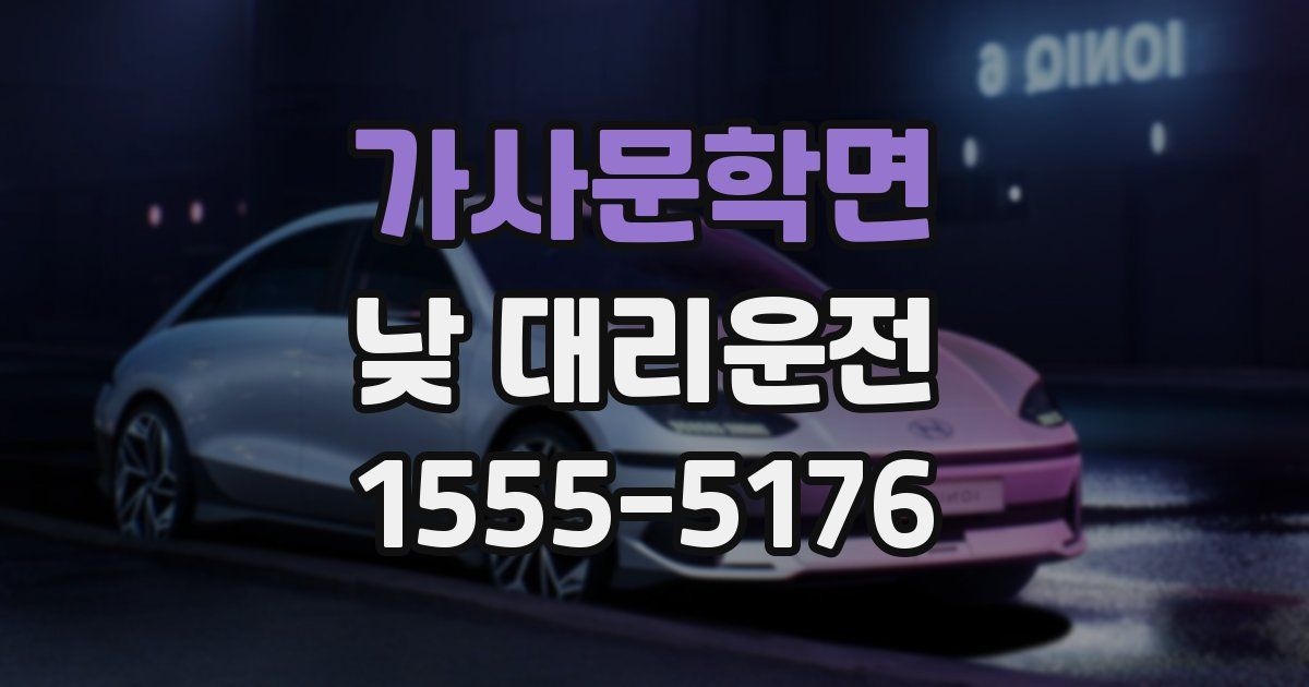가사문학면 낮 대리운전