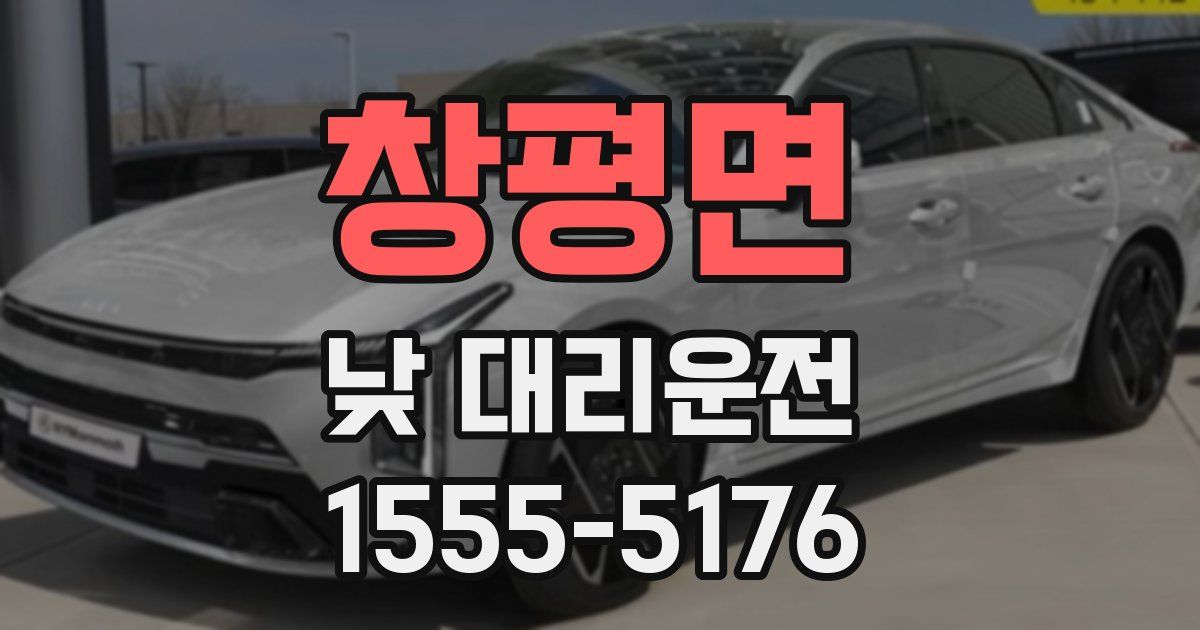 창평면 낮 대리운전