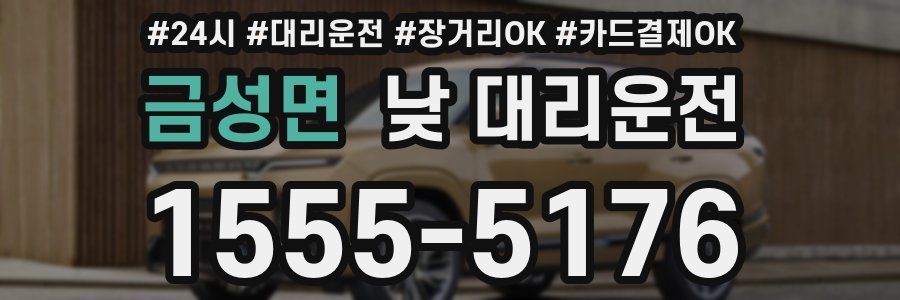 금성면 낮 대리운전