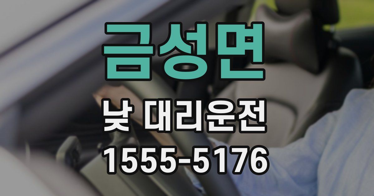 금성면 낮 대리운전