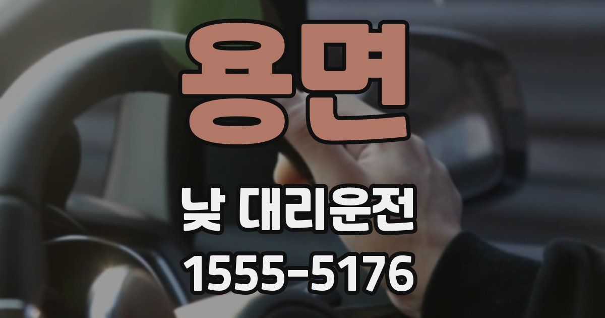 용면 낮 대리운전