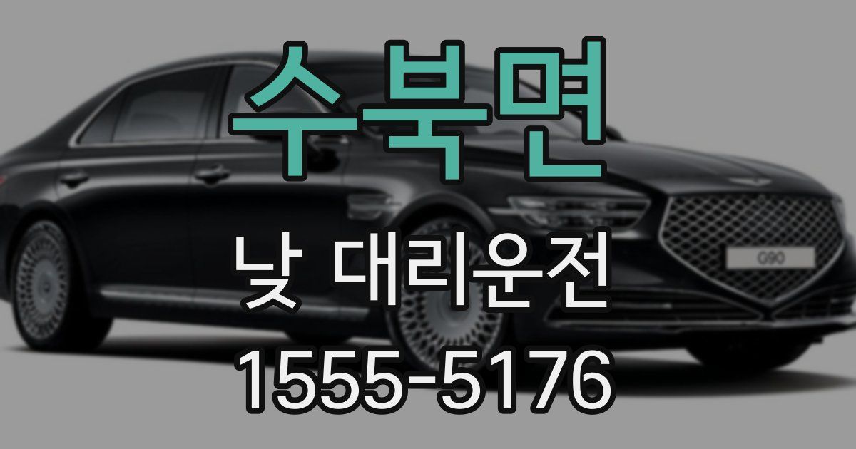 수북면 낮 대리운전