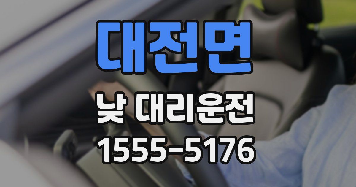 대전면 낮 대리운전