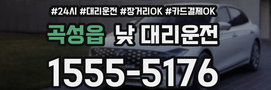 곡성읍 낮 대리운전