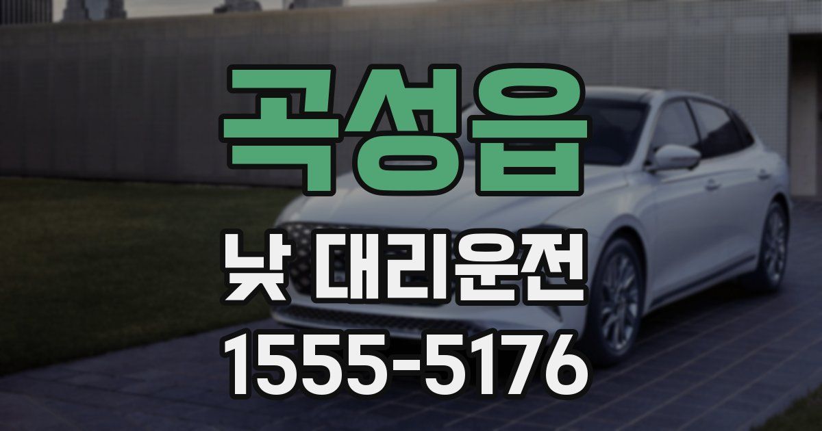 곡성읍 낮 대리운전