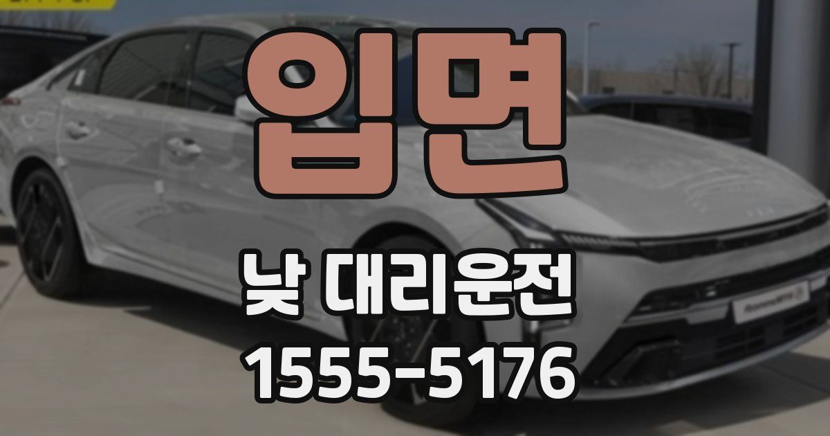 입면 낮 대리운전