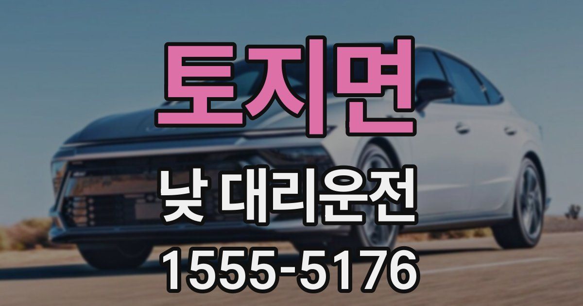 토지면 낮 대리운전