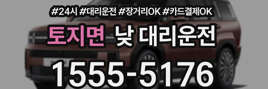 토지면 낮 대리운전