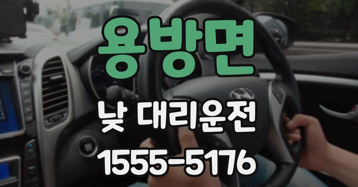 용방면 낮 대리운전