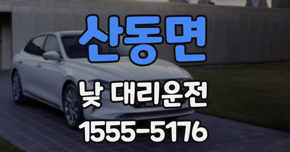 산동면 낮 대리운전