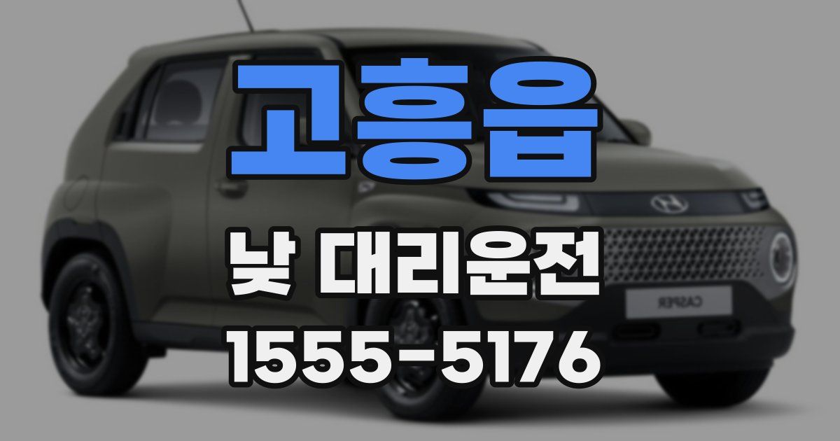고흥읍 낮 대리운전