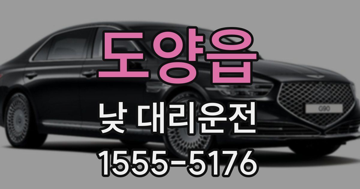 도양읍 낮 대리운전