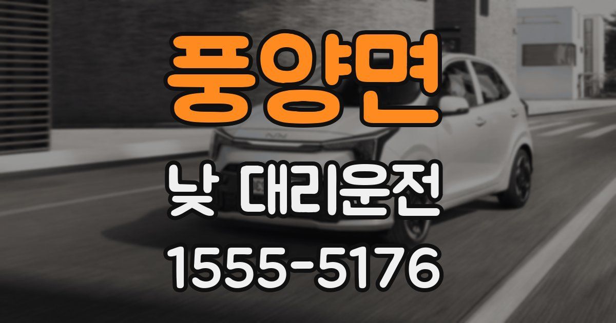 풍양면 낮 대리운전