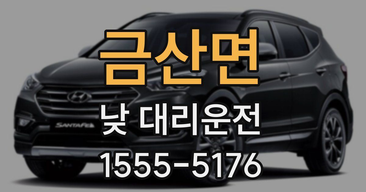 금산면 낮 대리운전