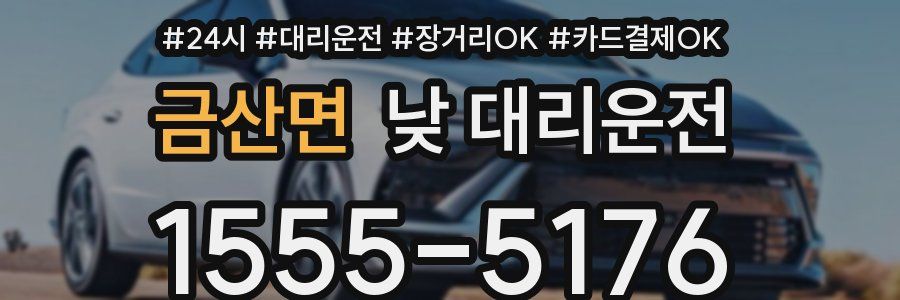 금산면 낮 대리운전