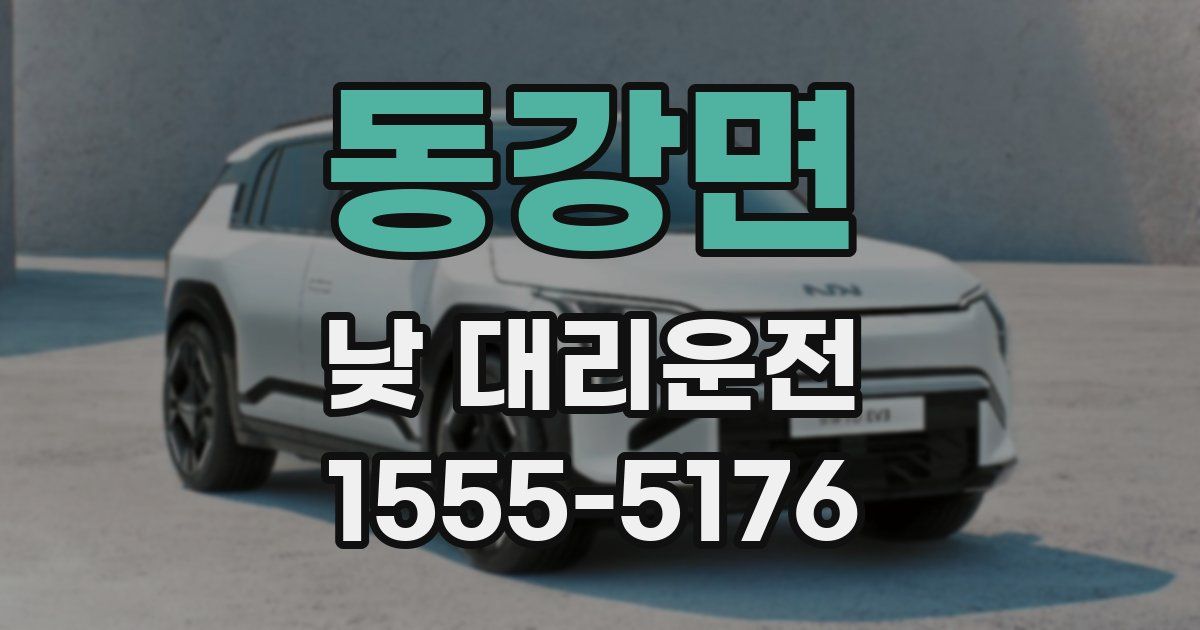 동강면 낮 대리운전