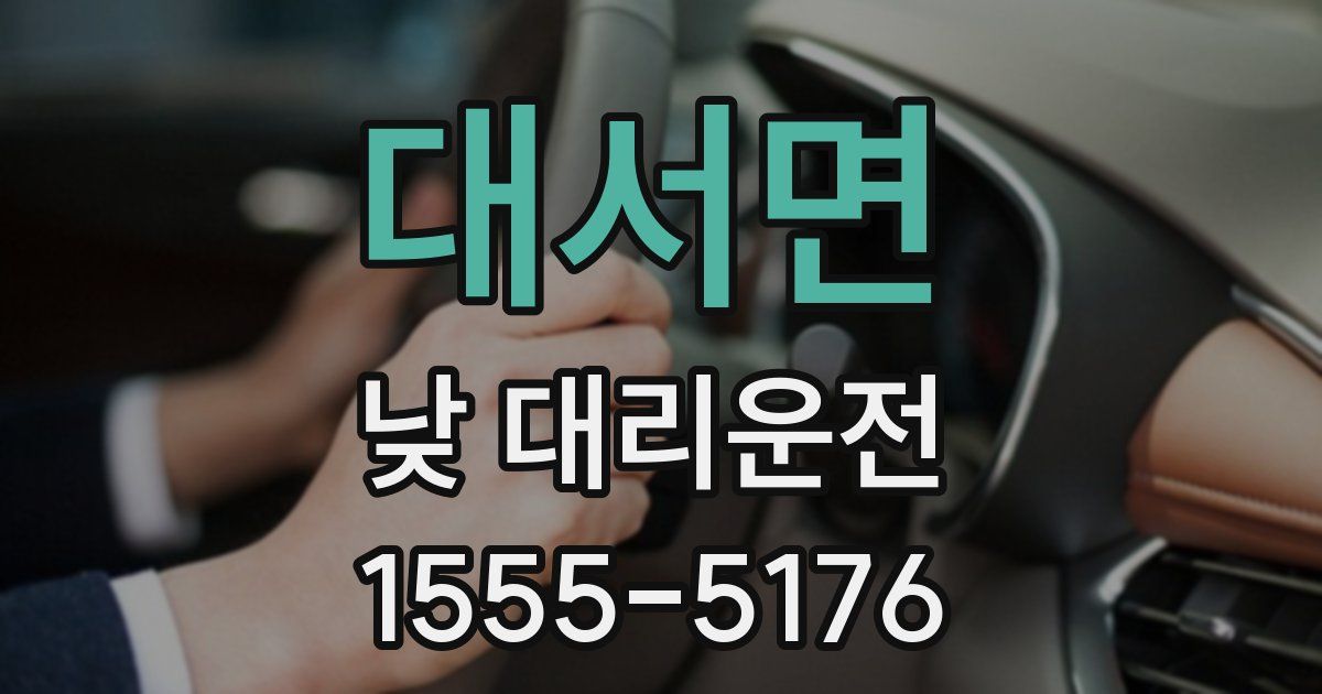 대서면 낮 대리운전