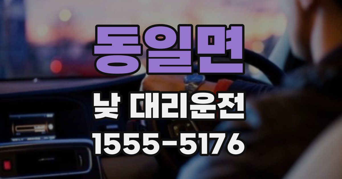 동일면 낮 대리운전